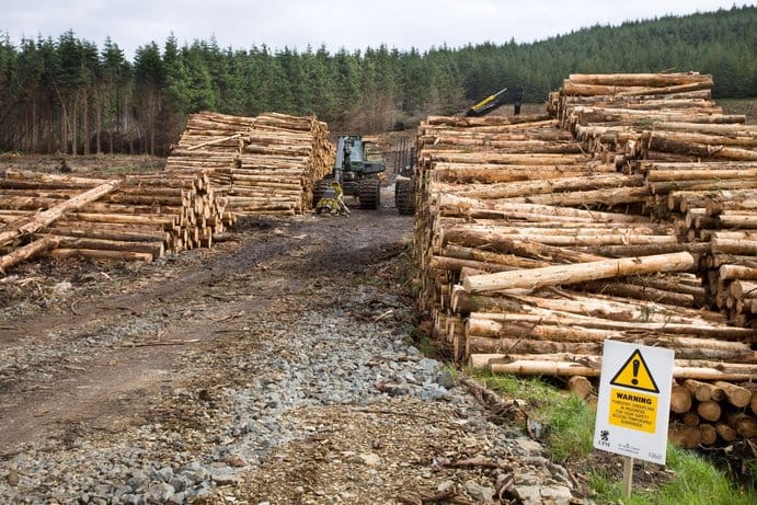Commercial Logging in Skye